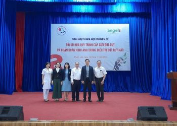 Điều trị đột quỵ não