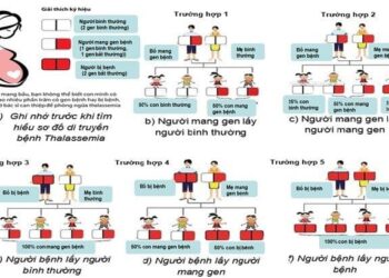 Thalassemia – gánh nặng di truyền