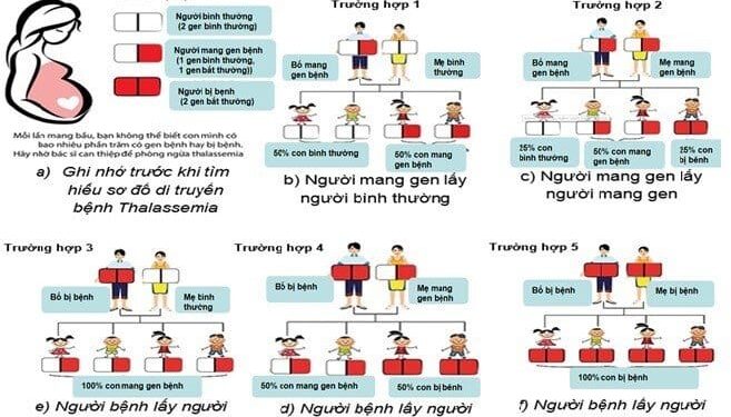 Thalassemia – gánh nặng di truyền