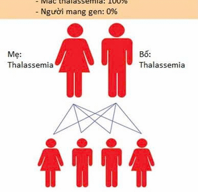 Vai trò của điện di hemoglobin trong chẩn đoán bệnh lý huyết sắc tố