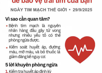 Ngày Tim mạch Thế giới 2025: Hành động vì một trái tim khoẻ mạnh