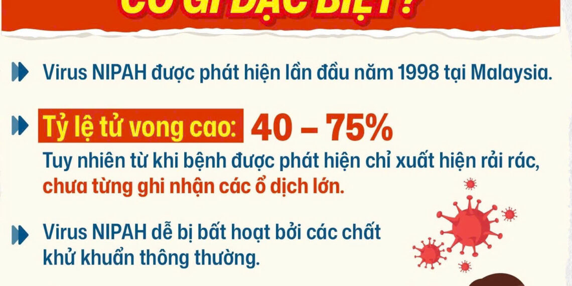 Virus Nipah: Thông tin về dịch bệnh và các biện pháp phòng chống tại Việt Nam