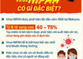 Virus Nipah: Thông tin về dịch bệnh và các biện pháp phòng chống tại Việt Nam