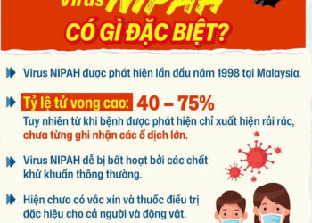 Virus Nipah: Thông tin về dịch bệnh và các biện pháp phòng chống tại Việt Nam