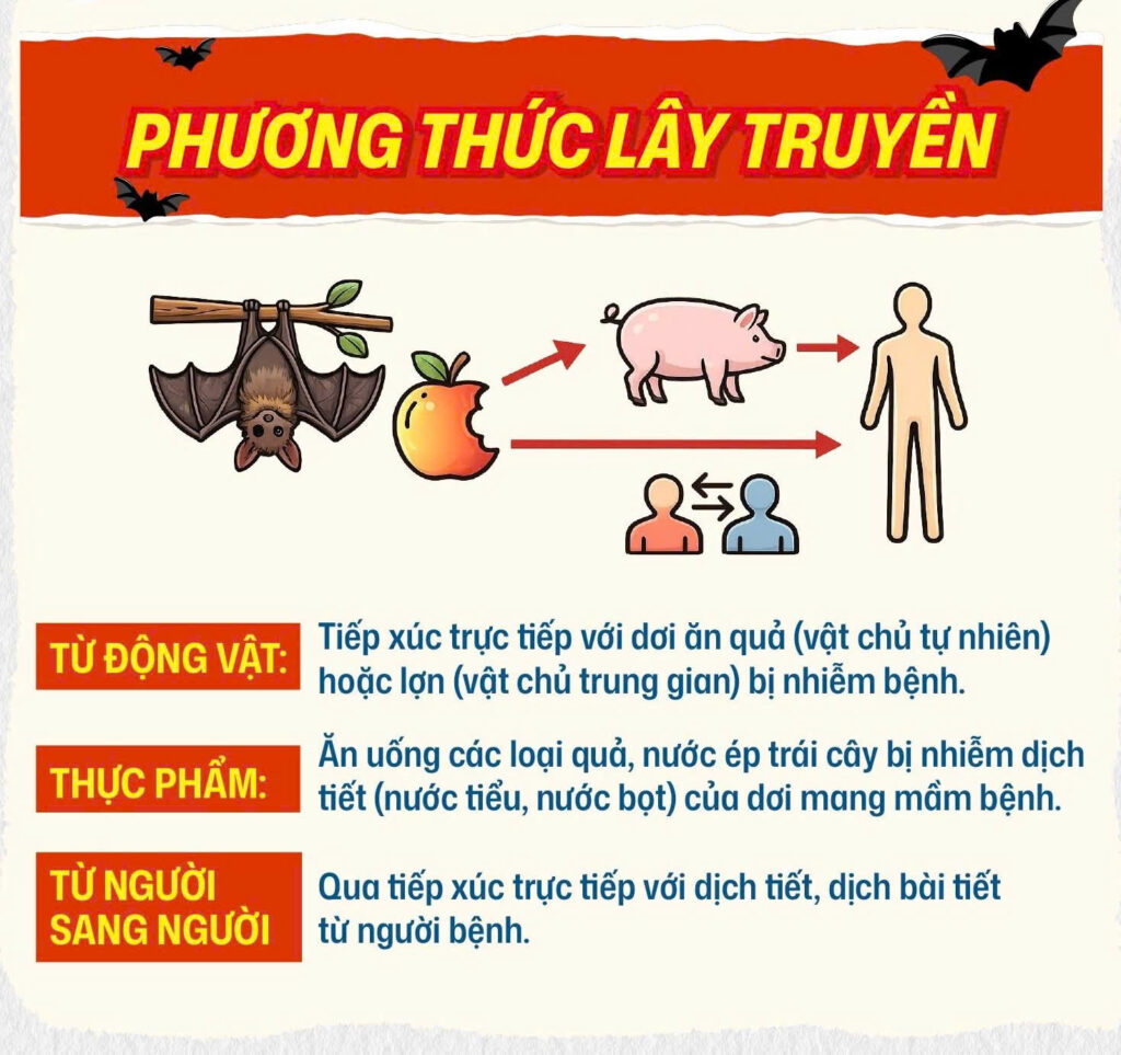 Virus Nipah Triệu chứng virus Nipah lây nhiễm virus Nipah phòng chống dịch bệnh Bệnh viện Đa khoa Khánh Hòa
