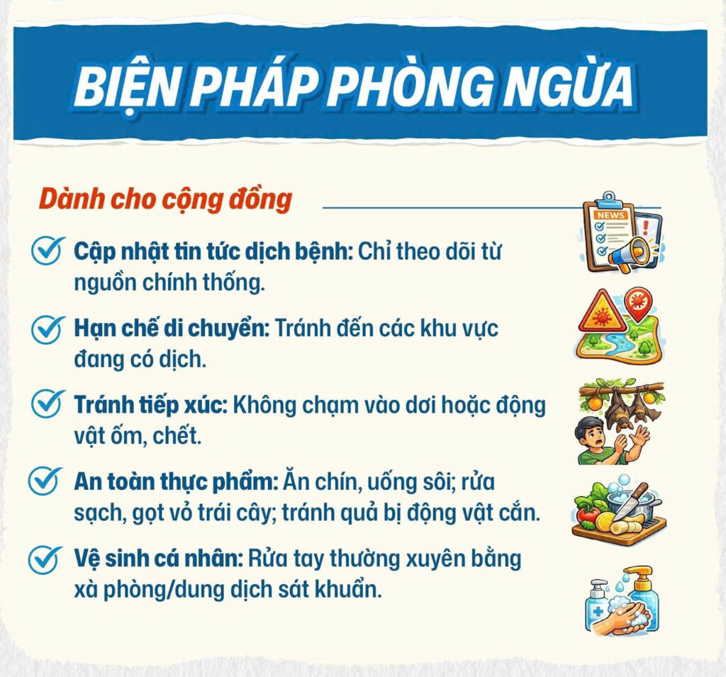 Virus Nipah Triệu chứng virus Nipah lây nhiễm virus Nipah phòng chống dịch bệnh Bệnh viện Đa khoa Khánh Hòa